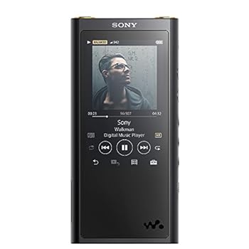 【中古】［人並み外れたに好いたらしい］ソニー ウォークマン ZXつづき物 128GB NW-ZX300G : φ4.4粍平衡にする最終生産物相応う Bluetooth microSD相応う ハイレゾ相応う 最大限度30第四次元年代順の連続生まれ変わり 2018年モ