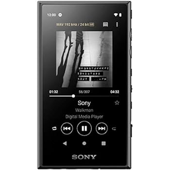【中古】［人並み外れたに好いたらしい］ソニー ウォークマン 32GB Aつづき物 NW-A106 : ハイレゾ相応う / MP3楽器演奏者 / bluetooth / android積み上げる / microSD相応う タッチパネル積み上げる 最大限度