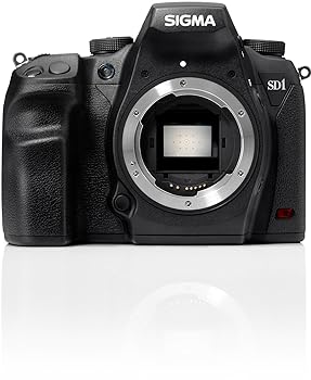 【中古】［非常に良い］SIGMA デジタル一眼レフカメラ SD1Merrill 4,600万画素 FoveonX3ダイレクトイメージセンサー(APS-C)搭載 928766