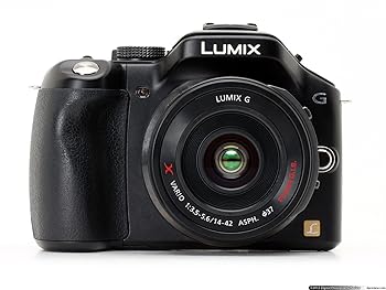 【中古】パナソニック(Panasonic) ミラーレス一眼カメラ ルミックス G5 レンズキット 電動ズームレンズ付属 エスプリブラック DMC-G5X-K