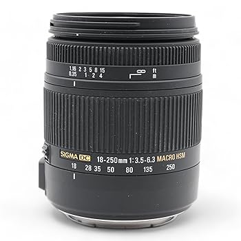 【中古】［非常に良い］シグマ 18-250mm F3.5-6.3 DC OS HSM EO キヤノン用