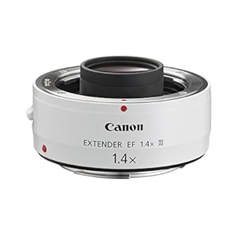 【中古】Canon エクステンダー EF1.4X III フルサイズ対応|スカーレット2021