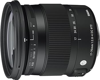 【中古】SIGMA 17-70mm F2.8-4 DC MACRO HSM | Contemporary C013 | Pentax Kマウント | APS-C/Super35｜スカーレット2021