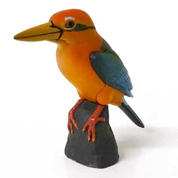 楽天市場】『シークレット1』 S04a オオクワガタ (さなぎ) 第一段階