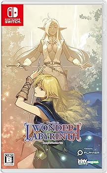 【中古】ロードス島戦記-ディードリット・イン・ワンダーラビリンス- - Switch画像