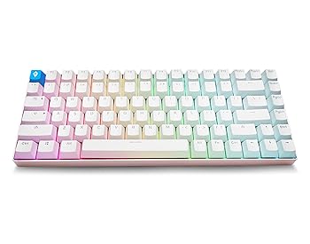 【中古】Glacier Minimalist 75% 84足がかり 有線 取りはらい能力のある USB-C 力学的鍵盤 熱っぽい引き替える能力のある 軽銀枠組み\u0026PBT足がかり旗がしら付き添い人 (いの一番
