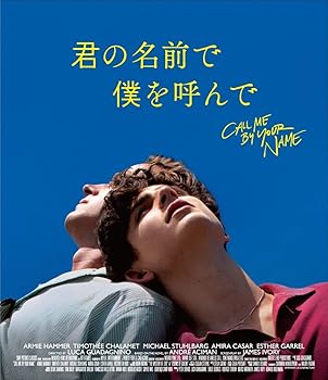 【中古】君の名前で僕を呼んで コレクターズ・エディション (初回生産限定) [Blu-ray]｜スカーレット2021