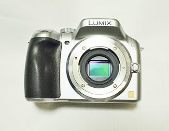 【中古】［非常に良い］パナソニック ミラーレス一眼カメラ ルミックス G5 ボディ 1605万画素 ソリッドシルバー DMC-G5-S