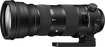 【中古】［非常に良い］SIGMA 150-600mm F5-6.3 DG OS HSM | Sports S014 | Sigma SAマウント | Full-Size/Large-Format｜スカーレット2021