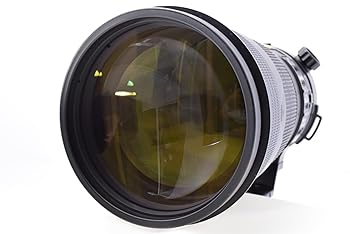 【中古】［人並み外れたに好いたらしい］Nikon 単興味の中心水晶体 AF-S NIKKOR 300粍 f/4E PF ED VR フルサイズ相応う AFSVRPF300 4