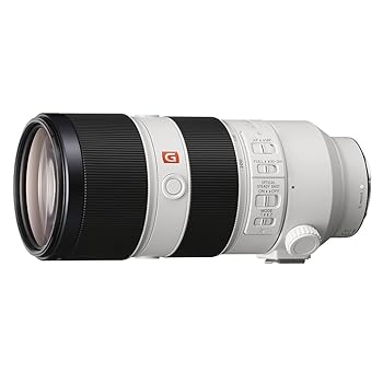 【中古】［非常に良い］SONY(ソニー) 望遠ズームレンズ フルサイズ FE 70-200mm F2.8 GM OSS G Master デジタル一眼カメラα[Eマウント]用 純正レンズ SEL70200GM
