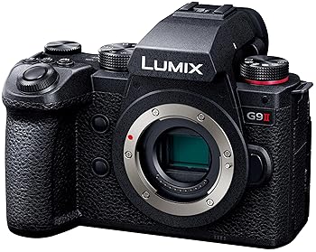【中古】［人並み外れたに好いたらしい］パナソニック(Panasonic) 鏡鑑受け答え一眼写真機 ルミックス 像面位相数学差AF積み上げる 弾丸道路連写動作 手ブレ手を加える強化因子 上半身 黒いこと DC-G9M2