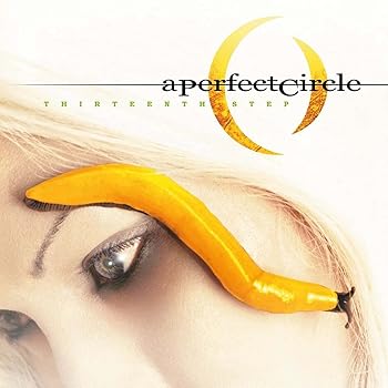【中古】Thirteenth Step -Hq- [Analog]