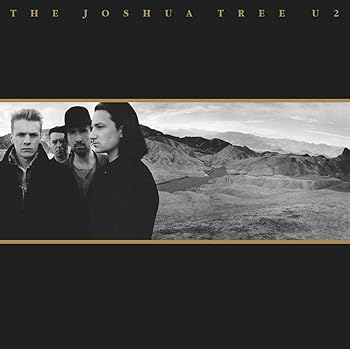 【中古】The Joshua Tree [12 inch Analog]