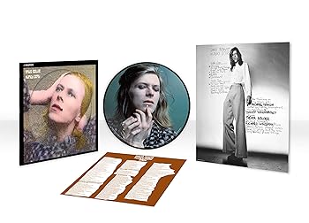【中古】HUNKY DORY [50TH ANNIVERSARY PICTURE DISC VINYL] [Analog]｜スカーレット2021