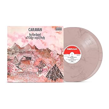 【中古】In The Land Of Grey And Pink [12 inch Analog]