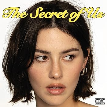 【中古】The Secret of Us [12 inch Analog]