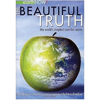 【中古】Beautiful Truth [DVD]｜スカーレット2021