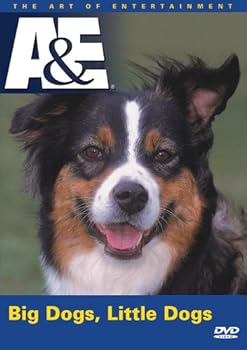 【中古】Big Dogs Little Dogs [DVD]｜スカーレット2021