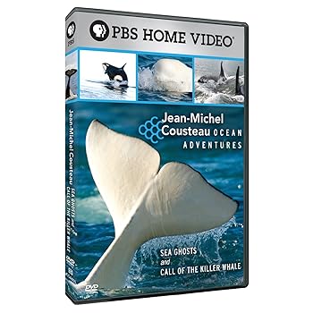 【中古】Jean-Michel Cousteau: Ocean Adventures - Sea Ghost [DVD]｜スカーレット2021