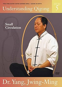 【中古】Understanding Qigong 5 [DVD] 14,996円