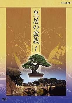 【中古】NHK DVD 皇居の盆栽 BOX
