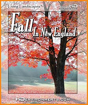 【中古】Autumn Splendor [DVD]｜スカーレット2021