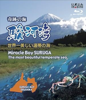 【中古】奇跡の海　駿河湾　&minus;世界一美しい温帯の海&minus; [Blu-ray]｜スカーレット2021