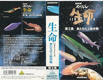 【中古】生命?40億年はるかな旅?第3集「魚たちの上陸作戦」 [VHS]｜スカーレット2021