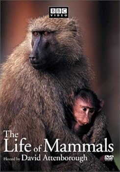 【中古】Life of Mammals 4 [DVD]