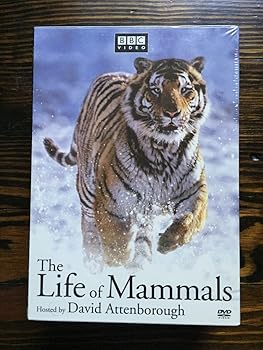 【中古】Life of Mammals 1-4 [DVD]