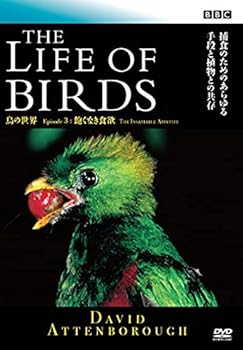 【中古】BBC 鳥の世界3 飽くなき食欲 [DVD] [レンタル落ち]