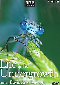 【中古】Life in the Undergrowth [DVD] [Import]