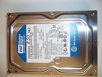 【中古】Western Digital WD2500AAJS 250GB キャビアブルーハードドライブ|スカーレット2021