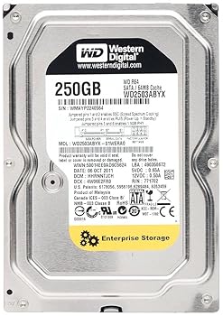 【中古】250GB 7200RPM 64MB キャッシュ SATA 3Gb/s-RE4 - WD2503ABYX