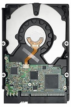 【中古】Western Digital wd2500js-58ncb1 250 GB、内蔵ハードドライブ