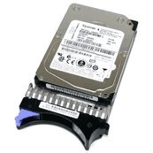 【中古】42D0672 IBM 73-GB 6G 15K 2.5 スリム HS SAS HDD|スカーレット2021