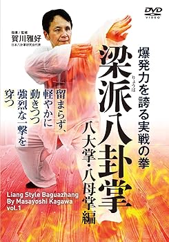 【中古】爆発力を誇る実戦の拳【梁派(りょうは)八卦掌】八大掌・八母掌編 [DVD]