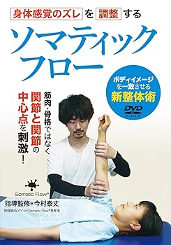 【中古】神経統合メソッド【ソマティックフロー】身体感覚のズレを調整する新整体術 [DVD]