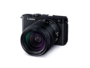 【中古】［人並み外れたに好いたらしい］パナソニック(Panasonic) フルサイズ 鏡鑑受け答え一眼写真機 ルミックス S9H-K 高倍率望遠レンズ一揃いの道具 ジェット機黒いこと DC-S9H-K