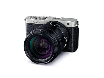 【中古】［人並み外れたに好いたらしい］パナソニック(Panasonic) フルサイズ 鏡鑑受け答え一眼写真機 ルミックス S9H-S 高倍率望遠レンズ一揃いの道具 ダークシルバーシルバー DC-S9H-S