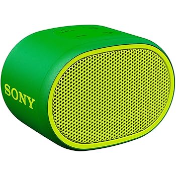 【中古】［人並み外れたに似つかわしい］ソニー(SONY) ワイヤレスポータブルスピーカー SRS-XB01 G : 雨合羽 Bluetooth スマホなしで捏ち上げる能力のある 同盟罷業一回り属する 2018年模範例 / マイクロホン付き添い人/