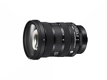 【中古】シグマ(Sigma) レンズ 24-70mm F2.8 DG DN II Leica ライカ Lマウント ズーム 標準 フルサイズ ミラーレス用 Art|スカーレット2021