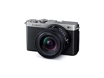 【中古】パナソニック(Panasonic) フルサイズ 銀鏡受け答え一眼写真機 ルミックス DC-S9N-S 広角望遠レンズ一揃いの道具 うす暗いしろがね色