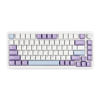 【中古】MechLands AJAZZ AK820 MAX HE ホール効果ゲーミングキーボード アクチュエーション調整可能 8KHzポーリングレート 有線ラピッド磁気キーボード｜スカーレット2021