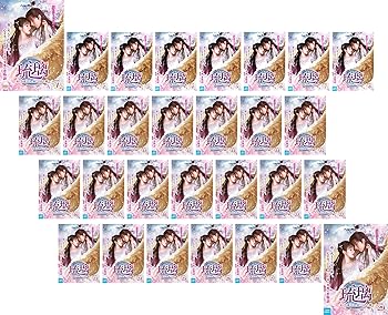 【中古】琉璃 めぐり逢う2人 封じられた愛 [レンタル落ち] 全29巻セット [マーケットプレイスDVDセット商品]