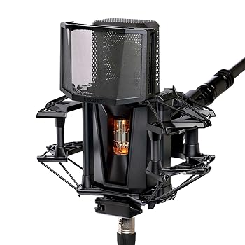 【中古】LEWITT PURE TUBE STUDIO set ルーイット コンデンサー チューブマイク 真空管 レコーディング 超低ノイズフロア カーディオイド ハイエンド 10｜スカーレット2021