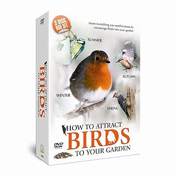【中古】How to Attract Birds to Your Garden [Region 2]