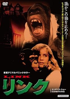 【中古】リンク [DVD]