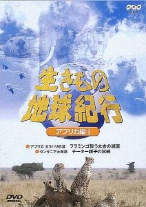 【中古】生きもの地球紀行 アフリカ編1 [DVD]